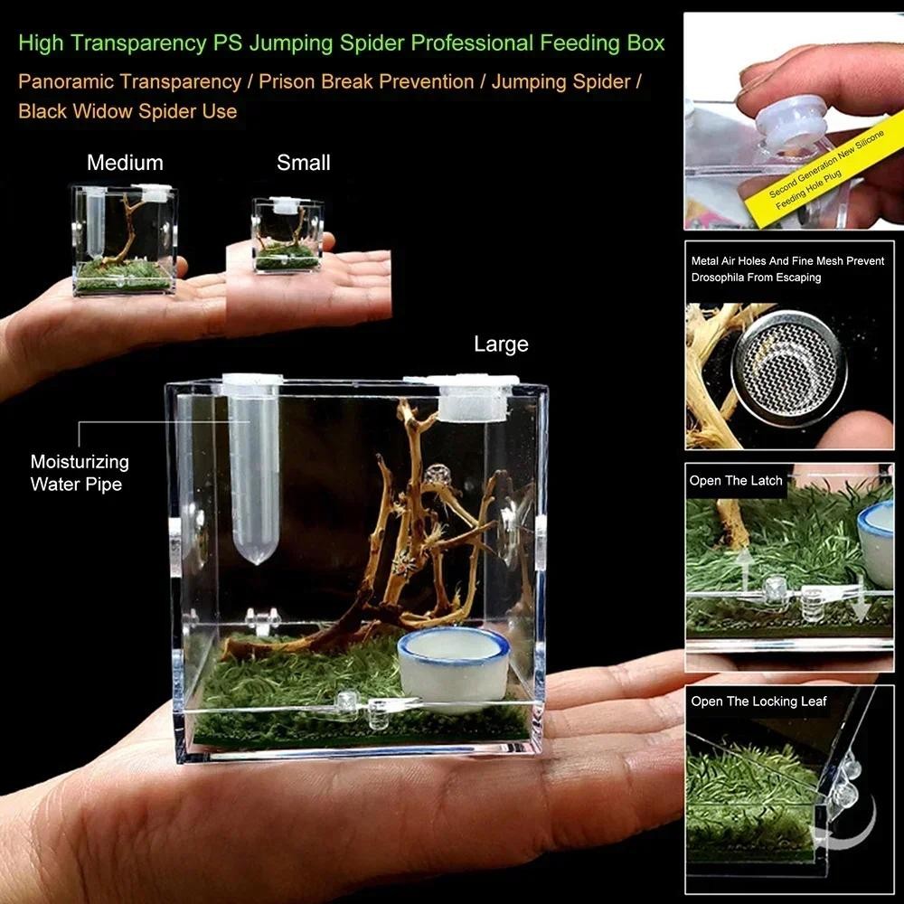 Jual Small Reptile Breeding Box Transparent Acrylic Cage Habitat Insect ...