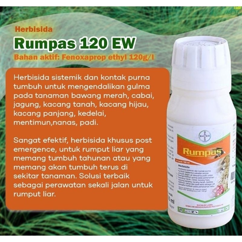 Jual RUMPAS 120EW Herbisida 100ml Obat Rumput Sistemik & Kontak Daun ...