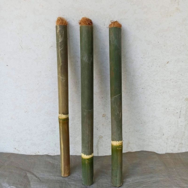 Jual Obor Bambu / Obor bambu / Obor Api / Oncor Bambu Untuk penerangan ...