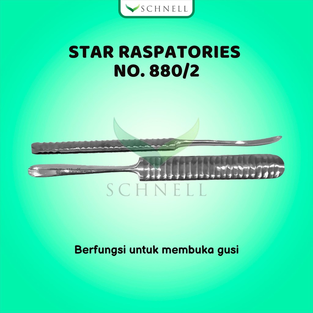 Jual STAR Dental Raspatory/Raspatorium/Raspatories - Dental Instruments ...