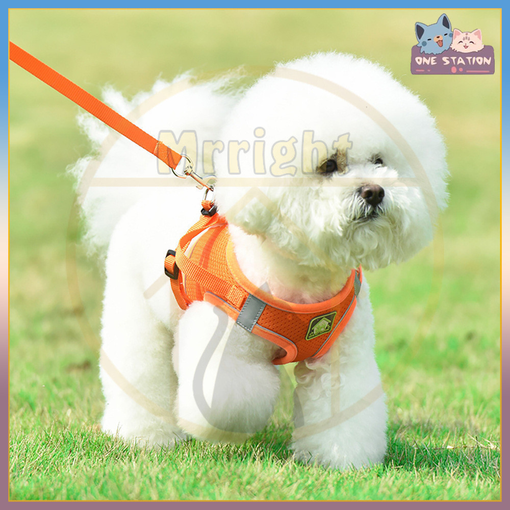 Jual Rompi Anjing harness tali tuntun Harness Modis Mesh Lembut dengan ...