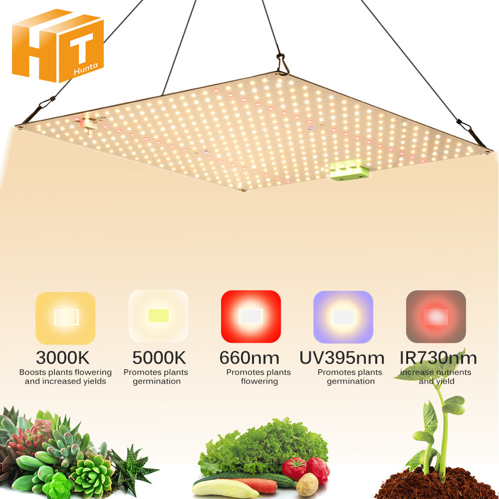Jual 1000W Full Spectrum LED Grow Light Quantum Sunlike Grow Lamp ...