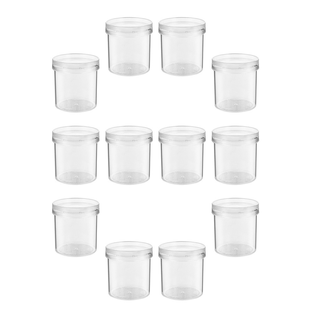 Jual 12Pcs Insect Observation Cup Bug Catcher Viewer Magnifying ...