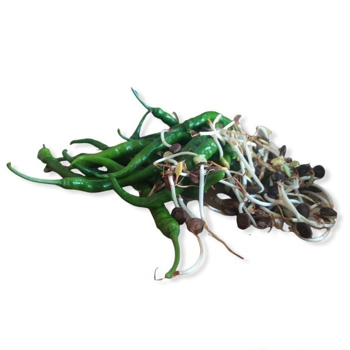 Jual cabe hijau + Ale / lombok ijo ale 250gram | Shopee Indonesia