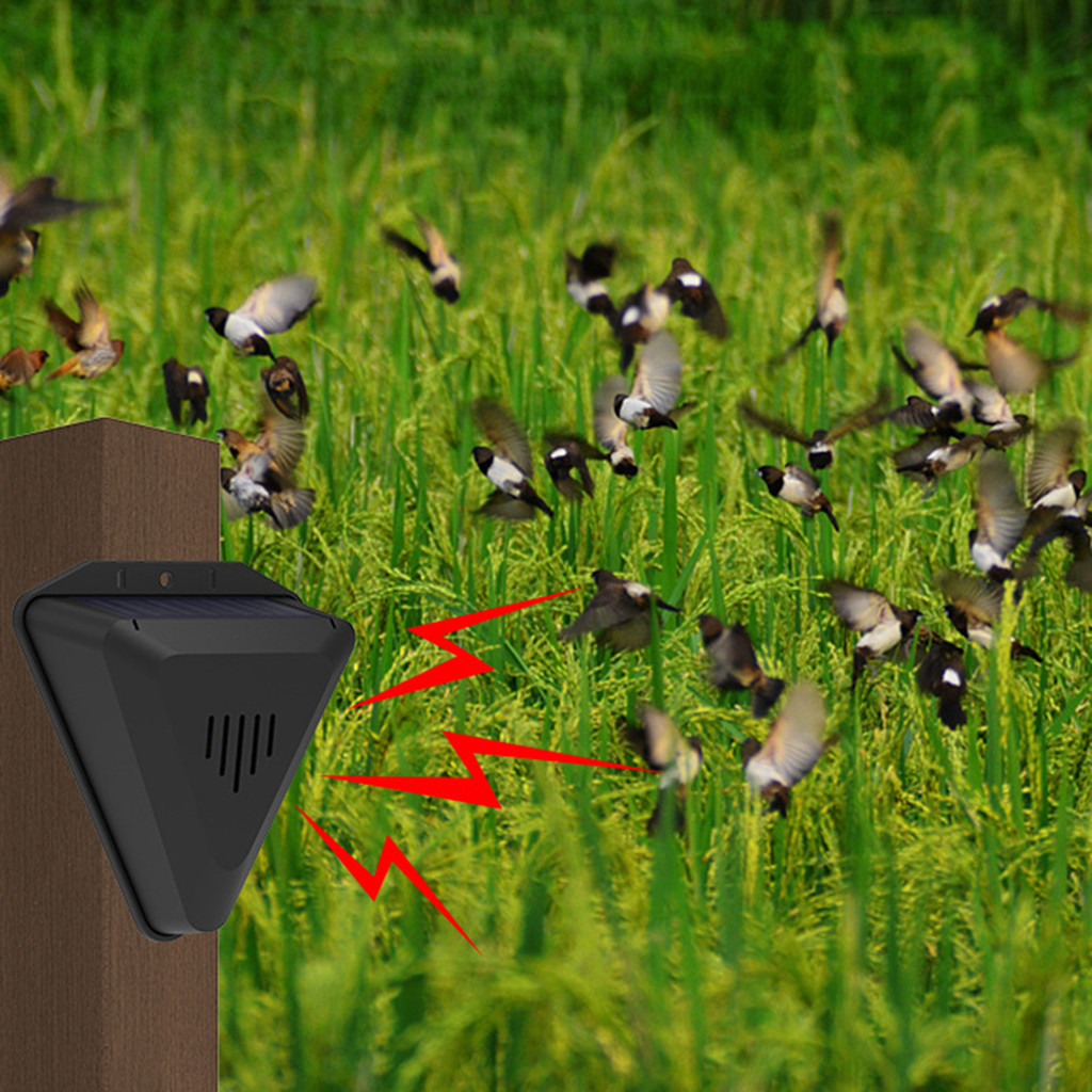 Jual Solar Bird Repellent Repelling Animal Sound Light Warning