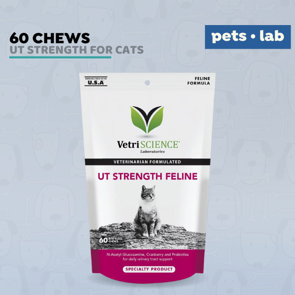 ForestLeaf D-Mannose Defense 1000mg With Cranberry, Hibiscus & Vitamin C - Urinary Tract Support - View #5