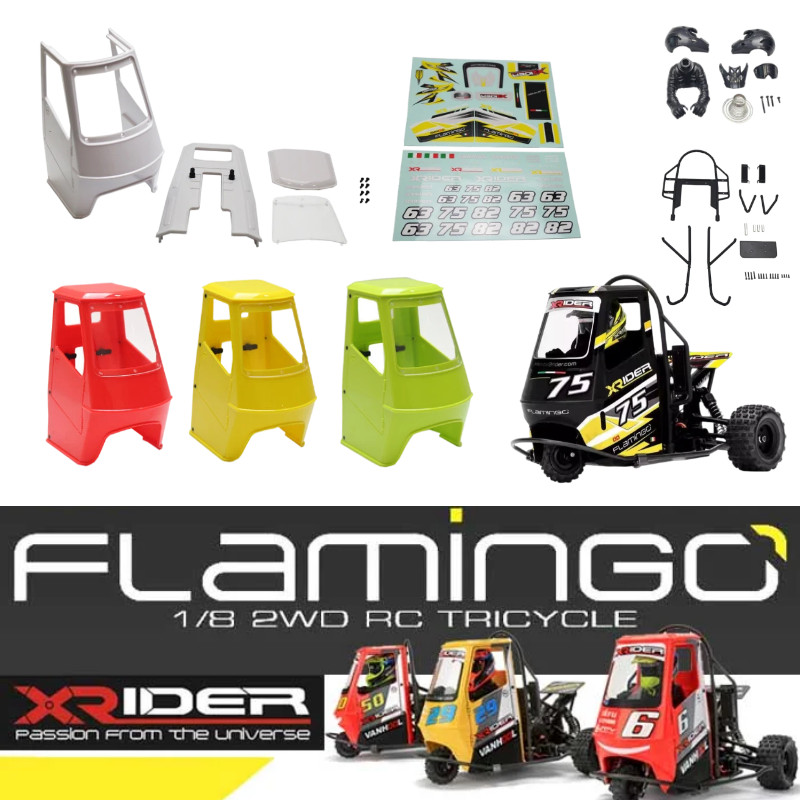 Jual X-Rider flamingos 1/8 Body Shell Roll cage Driver Sticker For X ...