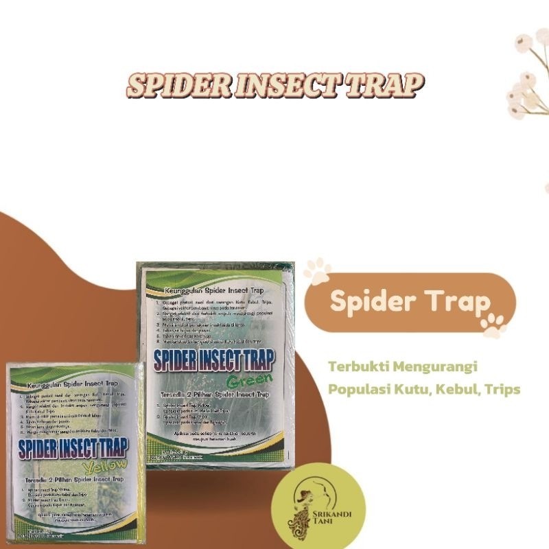 Jual Spider Insect Trap 20 Lembar Yelow / Green Perangkap Kutu Hama ...