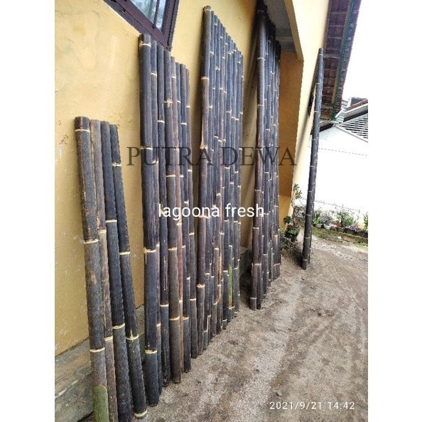 Jual bambu hitam / bambu wulung besar bahan kerajinan Panjang 100 Cm ...