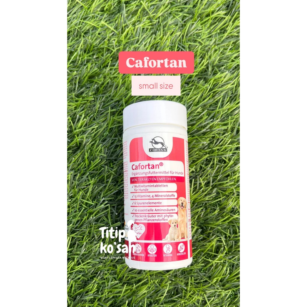 Jual Cafortan multivitamin untuk anjing dan kucing tablet | Shopee ...