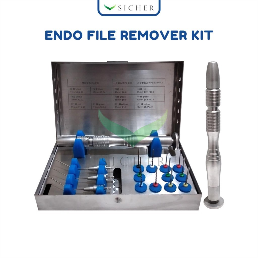 Jual Dental Root Canal File Extractor Broken Files Removal Kit Endo ...