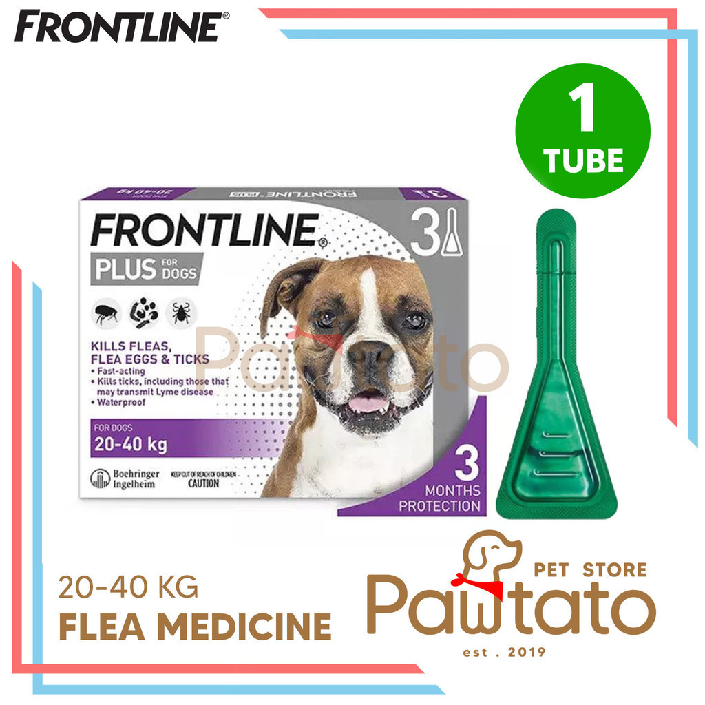 Jual Obat Kutu Anjing Frontline Plus Dog 0-10KG 10-20KG 20-40KG