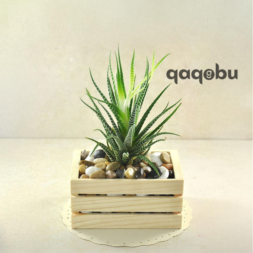Jual Pot Bunga Kotak Kayu Box Kayu Hiasan Kotak Kayu Serbaguna Box ...