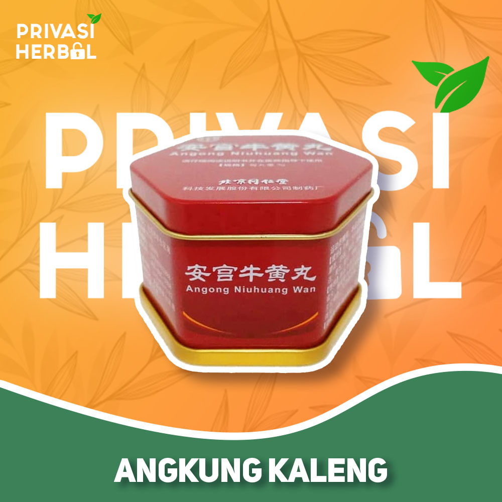 Jual PAKET HEMAT ANGKUNG KALENG ANGONG NIUHUANG WAN TONG REN TANG ...