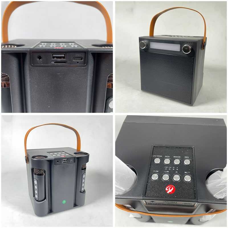 Jual MUWIND Speaker Bluetooth Portable Karaoke with Wireless Microphone ...