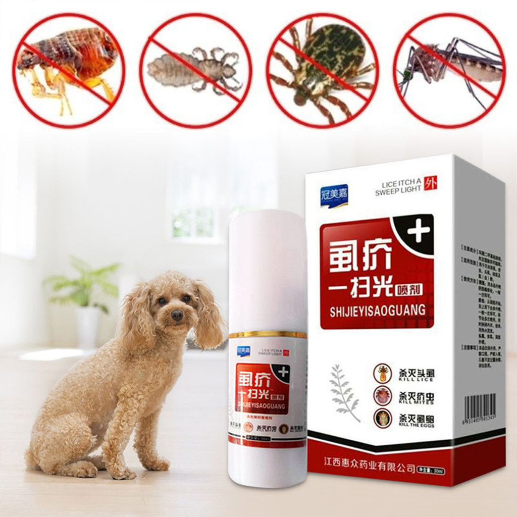 Picture of Jual 1 Pcs Pet Dog Puppy Cat Insecticide Spray Portable Anti-flea Flea ...