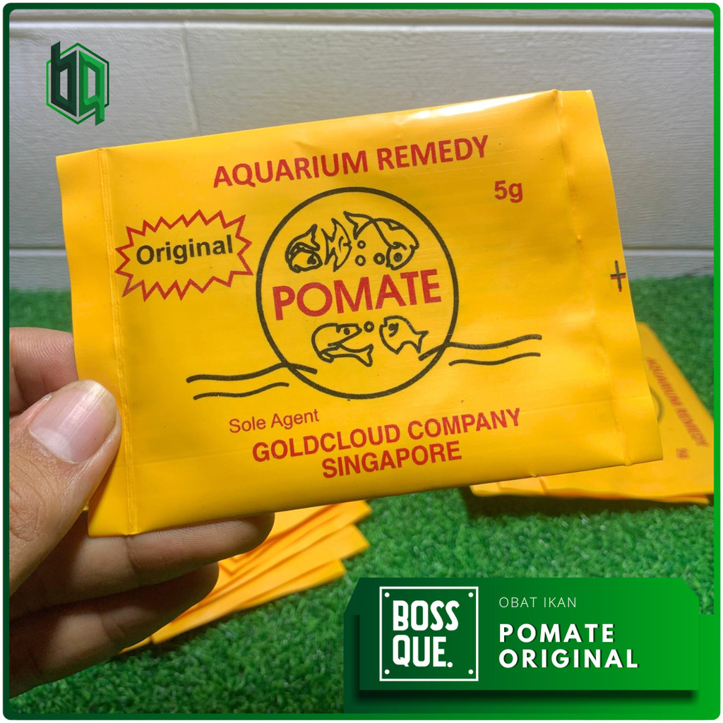 Jual Pomate Original 5 Gram Obat Ikan Whiter Spot Jamur Furunculosis ...