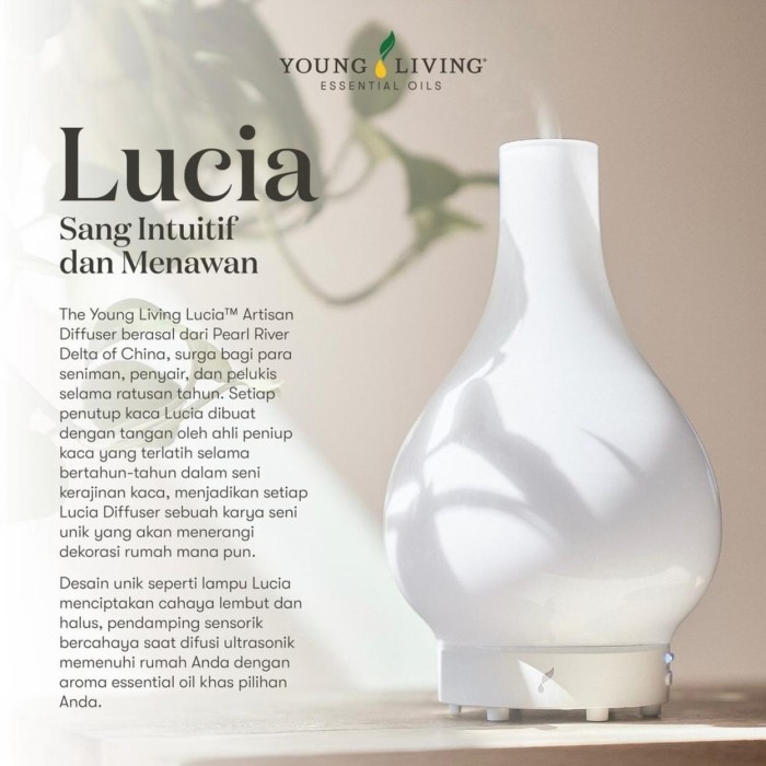 Lucia Young outlet Living Diffuser