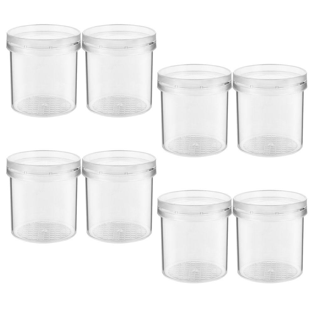 Jual 8Pcs Magnifying Insect Container High Transparency Portable Bug ...