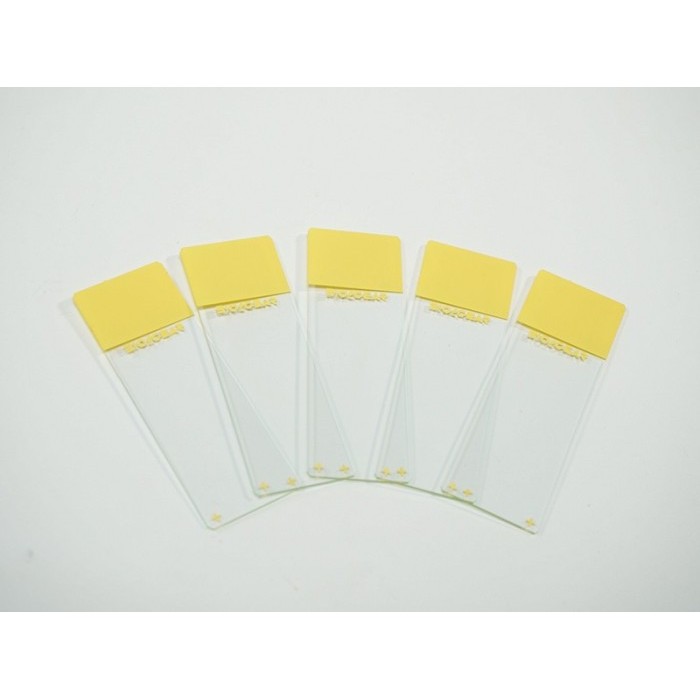 Jual Biogear Poly-L-Lysine Coated Microscope Slide (75 Slide/Pack ...