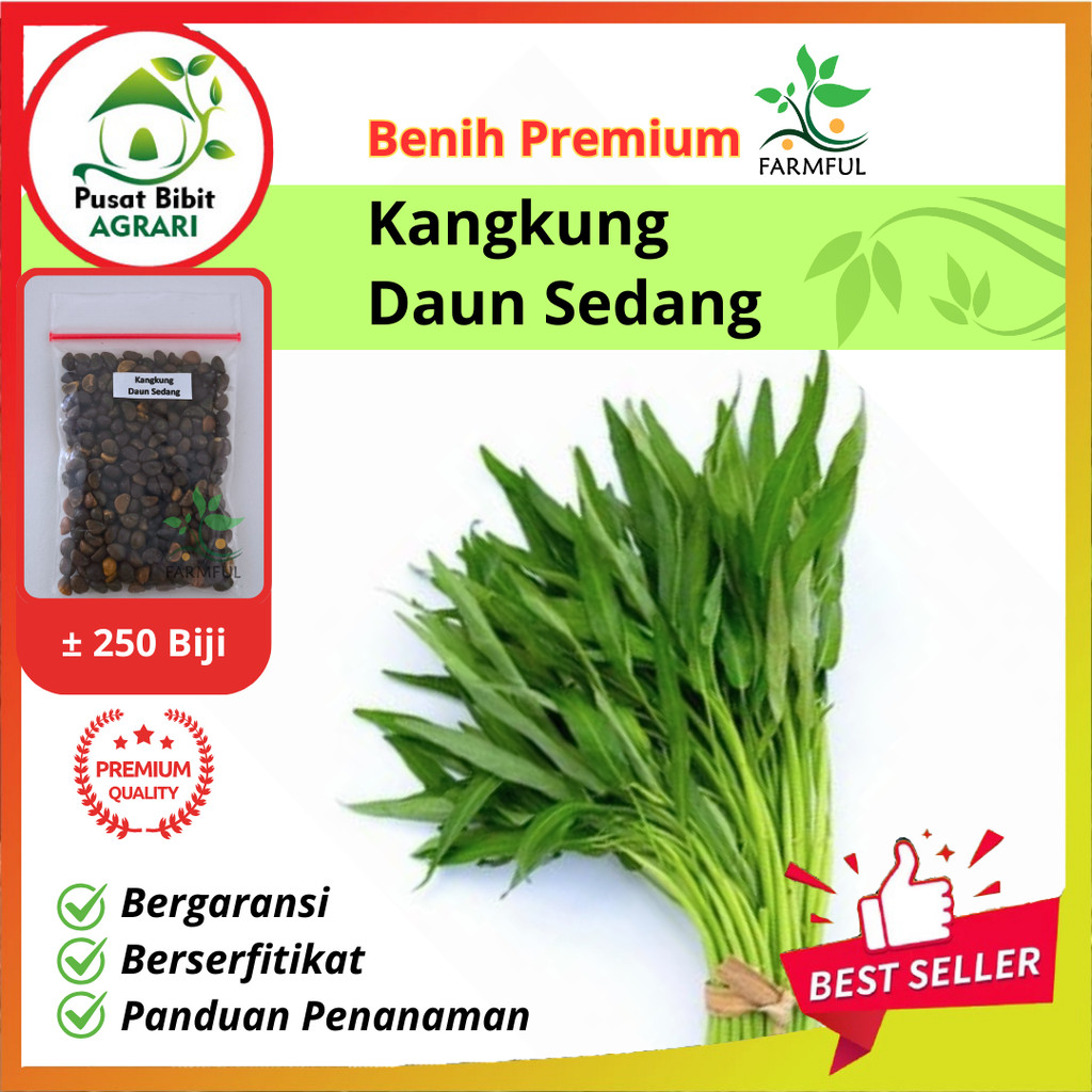 Benih Sayuran Kangkung Daun Sedang Unggul Premium Pusat Bibit Agrari