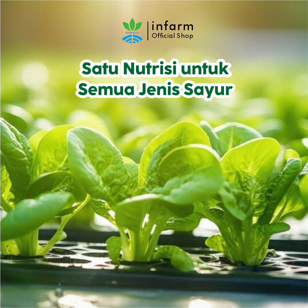 Jual INFARM - Pupuk AB Mix Instant Sayur Cair Pupuk Hidroponik untuk ...