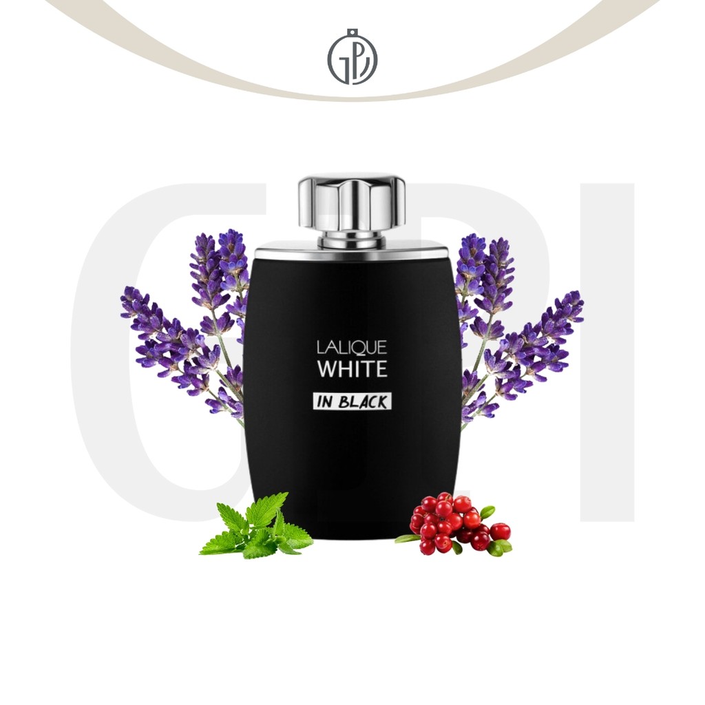 Jual Parfum Lalique White in Black for Men EDP 125 ml Shopee
