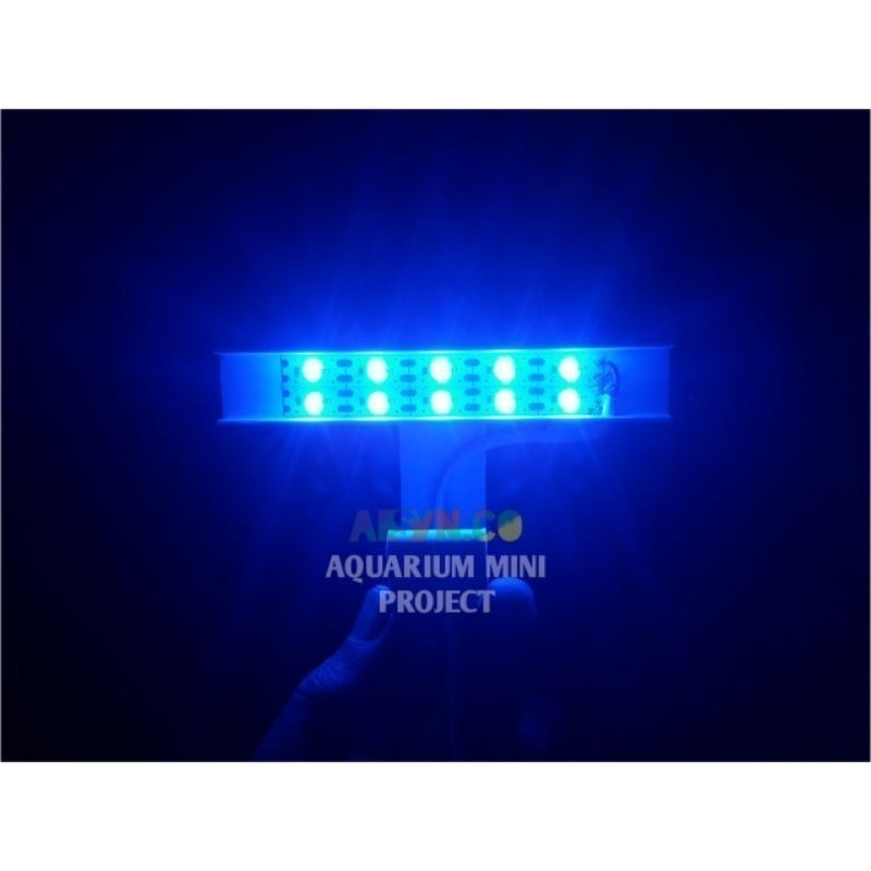 Jual lampu led mini 5 volt cocok untk akuarium maupun kebutuhan lainya ...