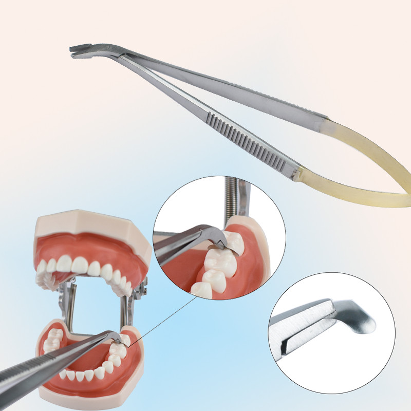 Jual Gigi Dental Matrix Holder Clamp Matrices Placement Pliers Dental ...