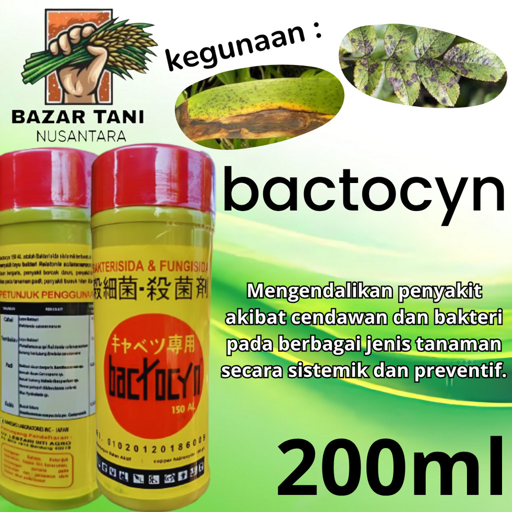 Jual Bactocyn 150 AL fungisida bakterisida tanaman baktocim | Shopee ...