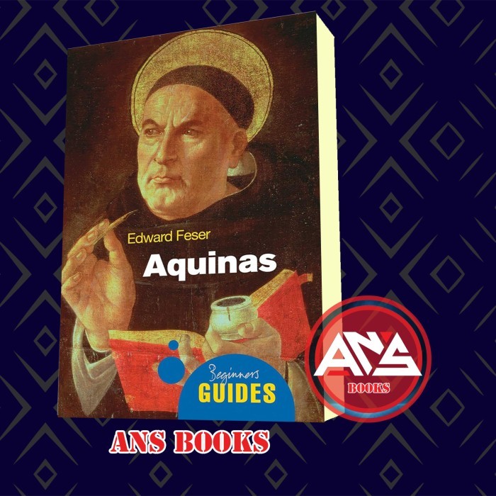 Jual Aquinas A Beginner's Guide Edward Feser Shopee Indonesia