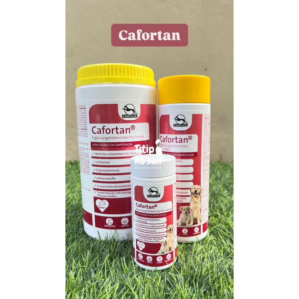 Jual Cafortan multivitamin untuk anjing dan kucing tablet | Shopee ...