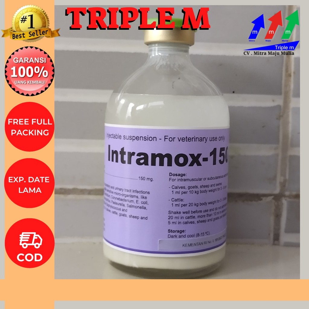 Jual Intramox 150 100 ml Antibiotik Hewan Amoxycillin Spektrum Luas ...