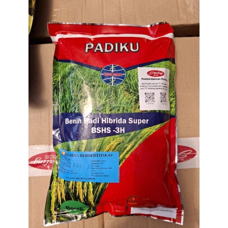 Jual Benih Padi Super Hibrida BSHS-3H | Shopee Indonesia