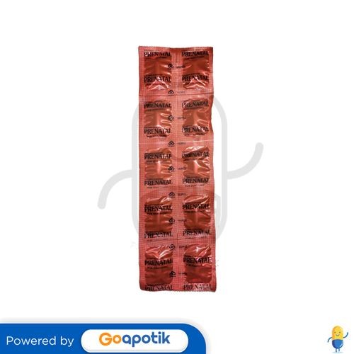 Jual Prenatal Strip Isi 10 Tablet | Shopee Indonesia
