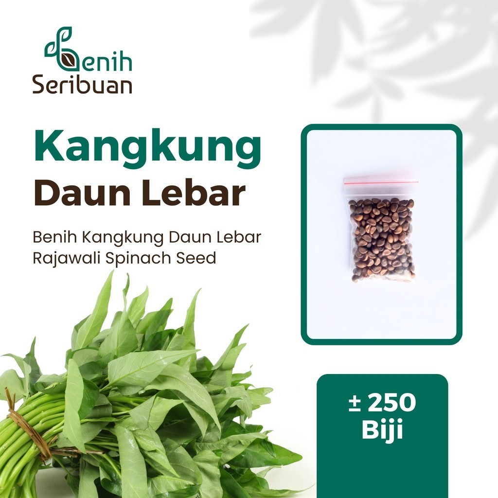 Jual Benih Seribuan Bibit Sayuran Kangkung Daun Lebar Unggul Shopee Indonesia