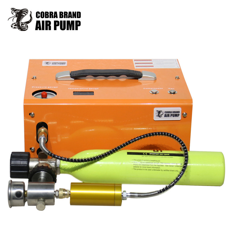 PCP Air Compressor, 4500PSI/30Mpa Portable PCP Airgun Compressor With Built-in Power