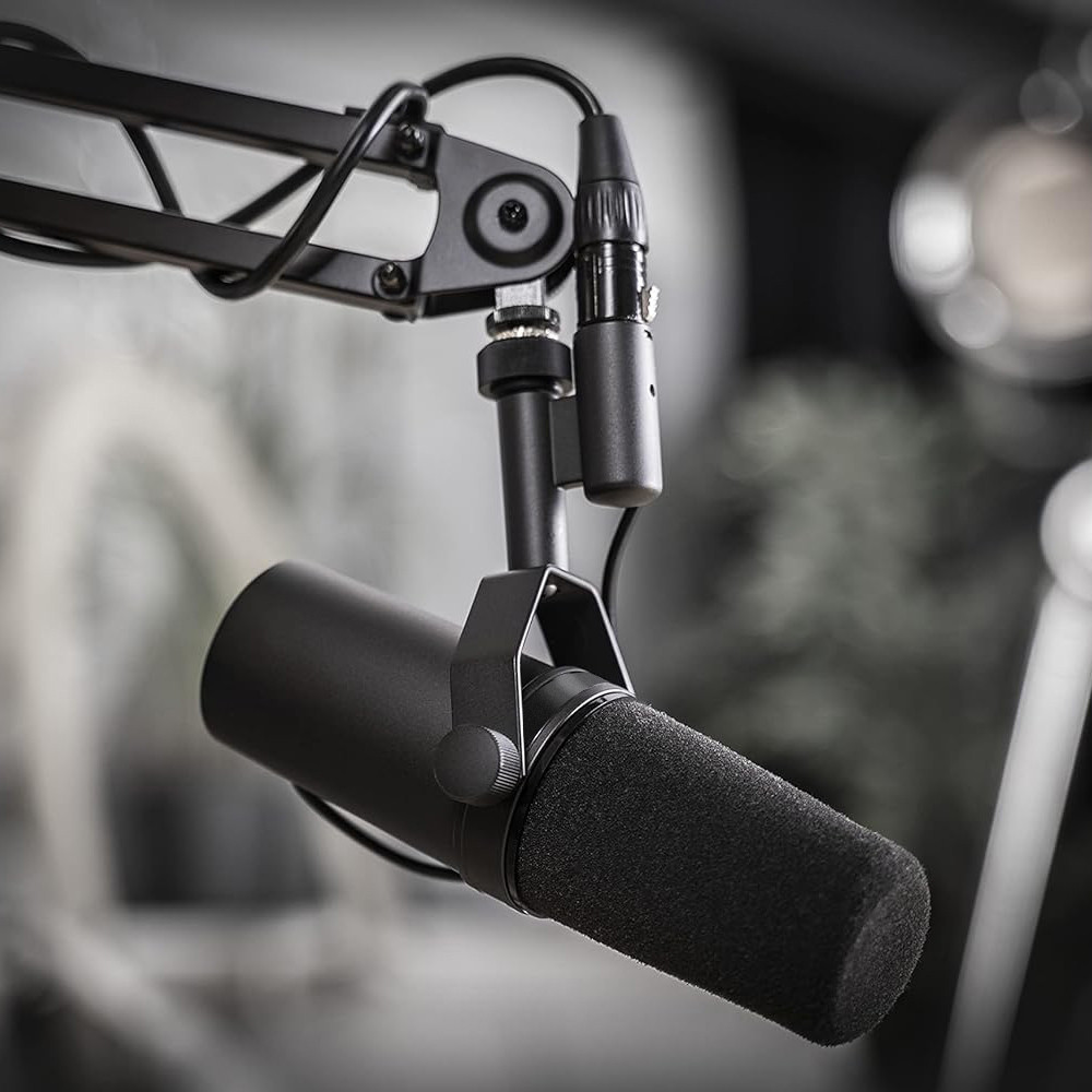 Jual Professional Dynamic Microphone Selectable Frequency Response Mic ...