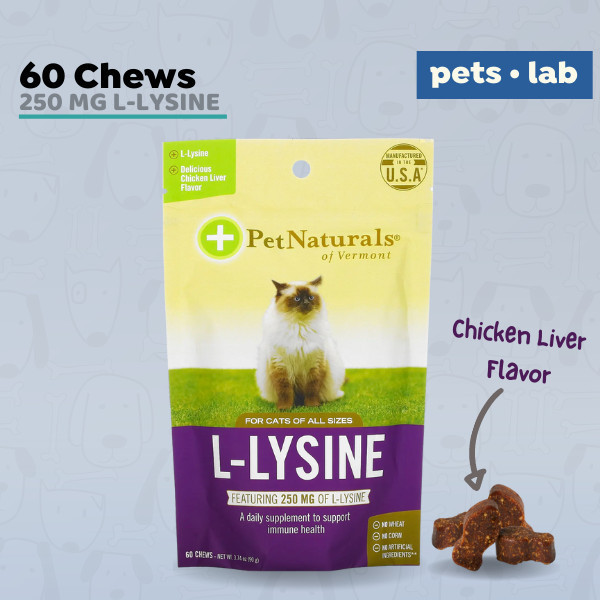 Naturvet L-lysine pour chat main image 0