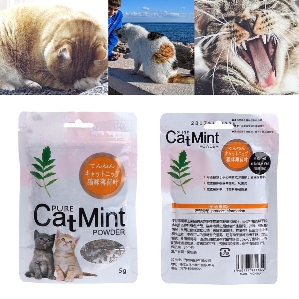 Jual Catnip Catmint BIKIN FLY KUCING Catmint Kucing Cat Mint Powder 5g ...