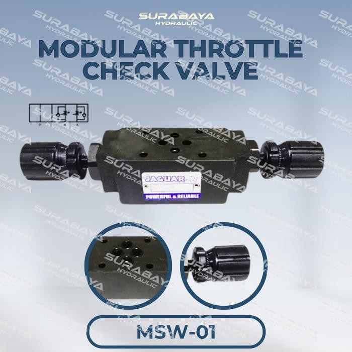 Jual MSW-01 | Modular Throttle Check Valve MSW 01 Cek Valve Flow ...