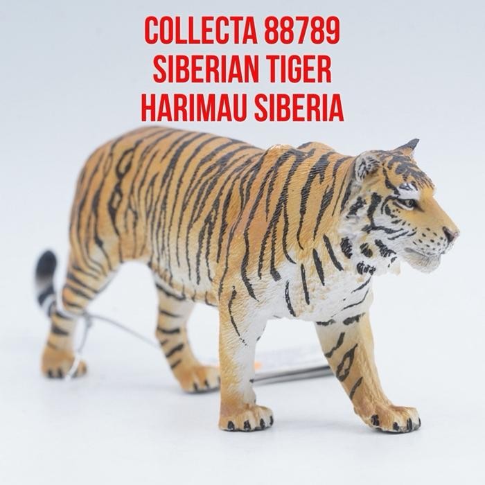 jual-collecta-88789-siberian-tiger-harimau-siberia-panthera-tigris