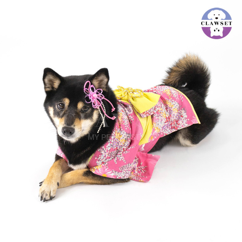 Jual Clawset - Pet Fashion - Kimono Inusama Collection - Sakura Pink ...