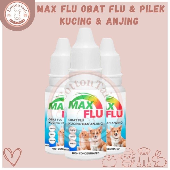 Jual MAX OBAT FLU & PILEK KUCING DAN ANJING - Obat Pilek Kucing ...