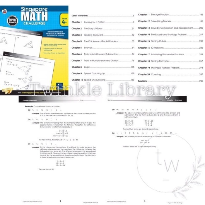 Jual BUKU CETAK Singapore MATH Challenge & Word Problems Grades 2+ 3+ 4 ...