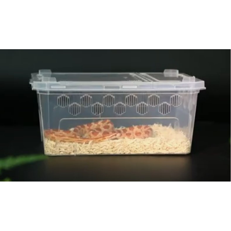 Jual New Model Nomoy H11 25x16.2x11cm - Kandang Ular Tarantula ...
