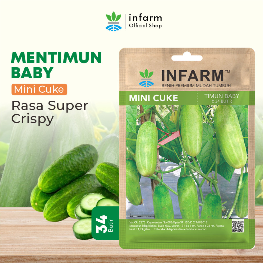 Jual INFARM - Benih Bibit Mentimum Premium Mini Cuke Mentimun Baby ...
