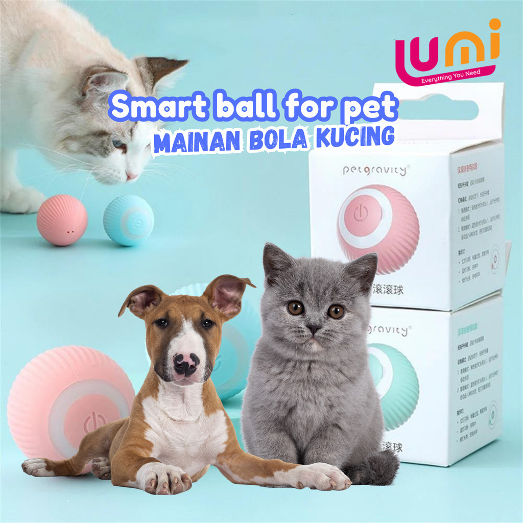 Jual Smart Rotating Ball For Pet / Mainan Bola Kucing Ball For pet ...