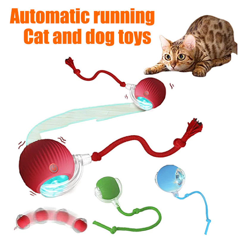 Jual NEW Electric Cat Toy Mainan Anjing Kucing Bola Pet Interaksi Pet ...