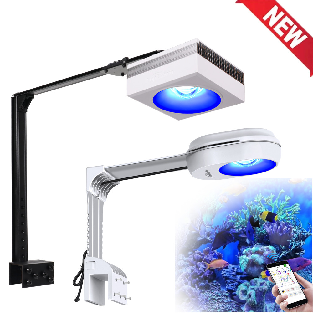 Picture of 10 Best Complete Marine Aquarium Starter Kits for Reef Beginners (April ...